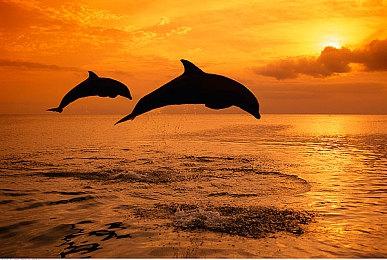 《英雄传说 黎之轨迹》中文版上市预告 7月28日发售