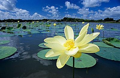 玩家批评《龙腾世纪4》 前战神总监：闭嘴 安心玩游戏