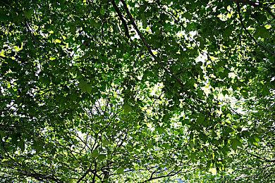 《黑神话：悟空》游戏主线剧情透露 小猴子重走西游之路